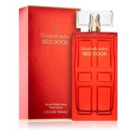 Red door edt spray 100 ml