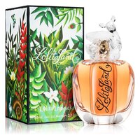 Lolitaland edp spray 80 ml