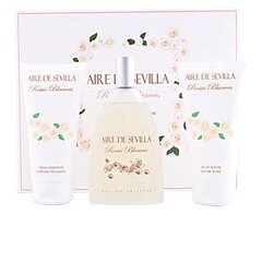 Aire Sevilla aire de sevilla rosas blancas