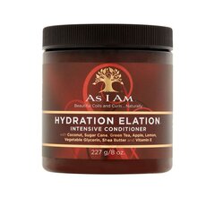 As I Am hydration elation intensive conditioner
