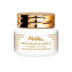 Nectar de miels 3 miels - arnica lovres et zones soches 8 gr