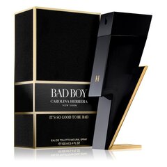 Bad boy edt spray 100 ml