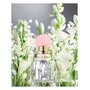 Miu Miu fleur d'argent edp absolue spray 30 ml