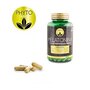 Phyto melatonina 225 cap de 545 mg