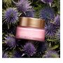 Clarins multi-active jour antioxidant